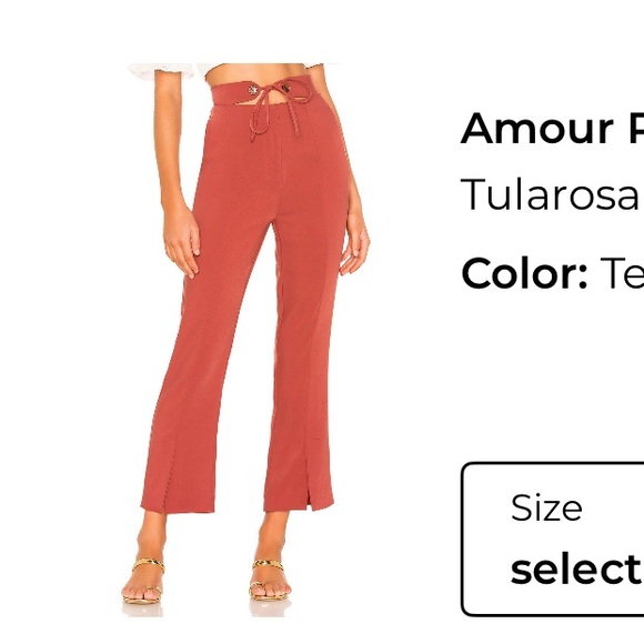 Tularosa Wide Leg Pants in Terracotta